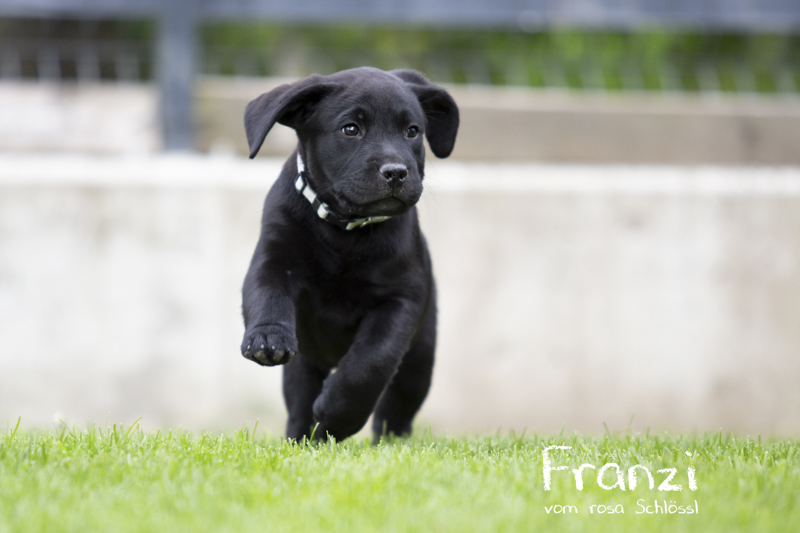 2022-05-12 Franzi-56-Bearbeitet