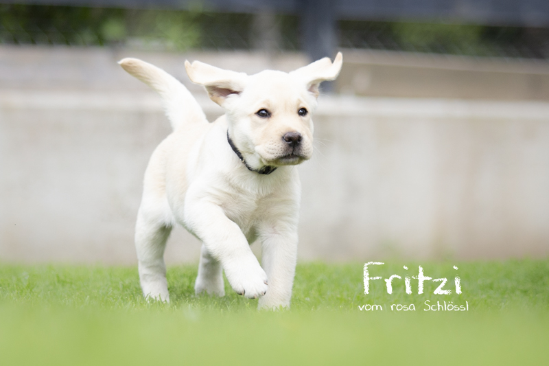 2022-05-12 Fritzi-29-Bearbeitet