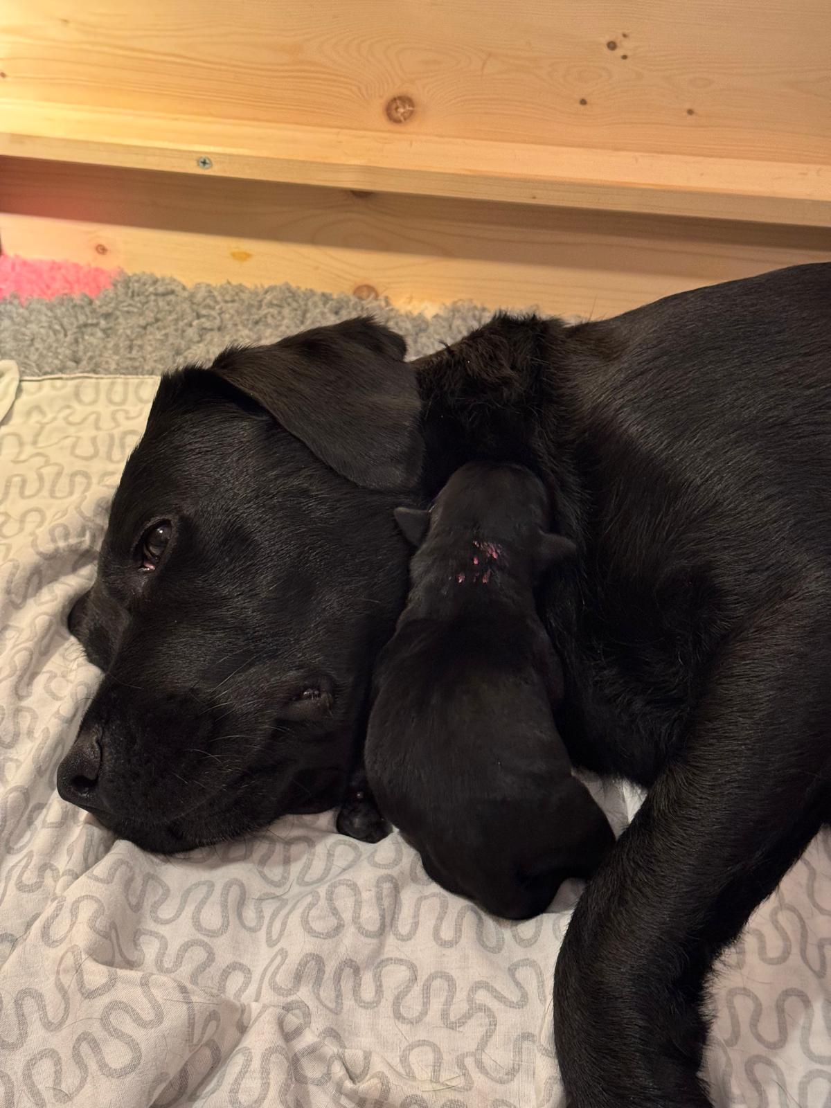 383dec86-df3e-4cf5-9986-cc6f207e085c