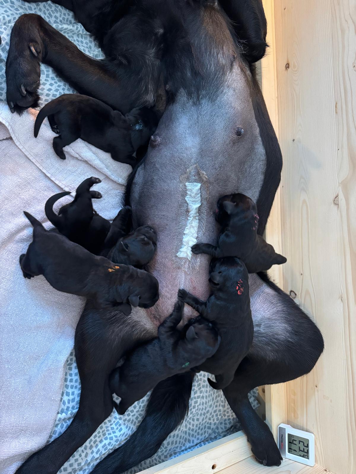 41e6334c-eb52-454d-b115-fc2d7295f3f2