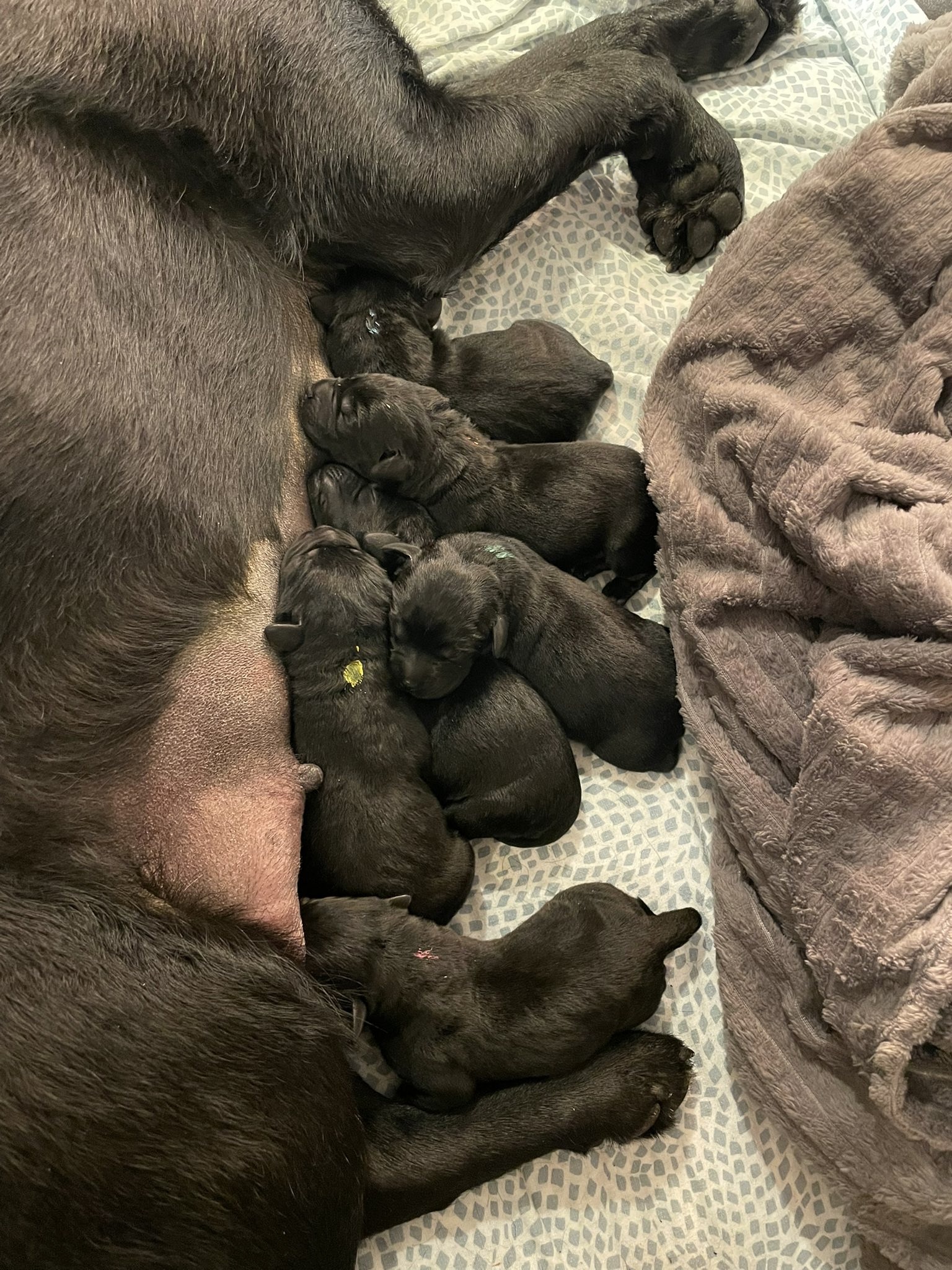 880ec5b8-f5dc-4b5f-bff5-77476c6921f7