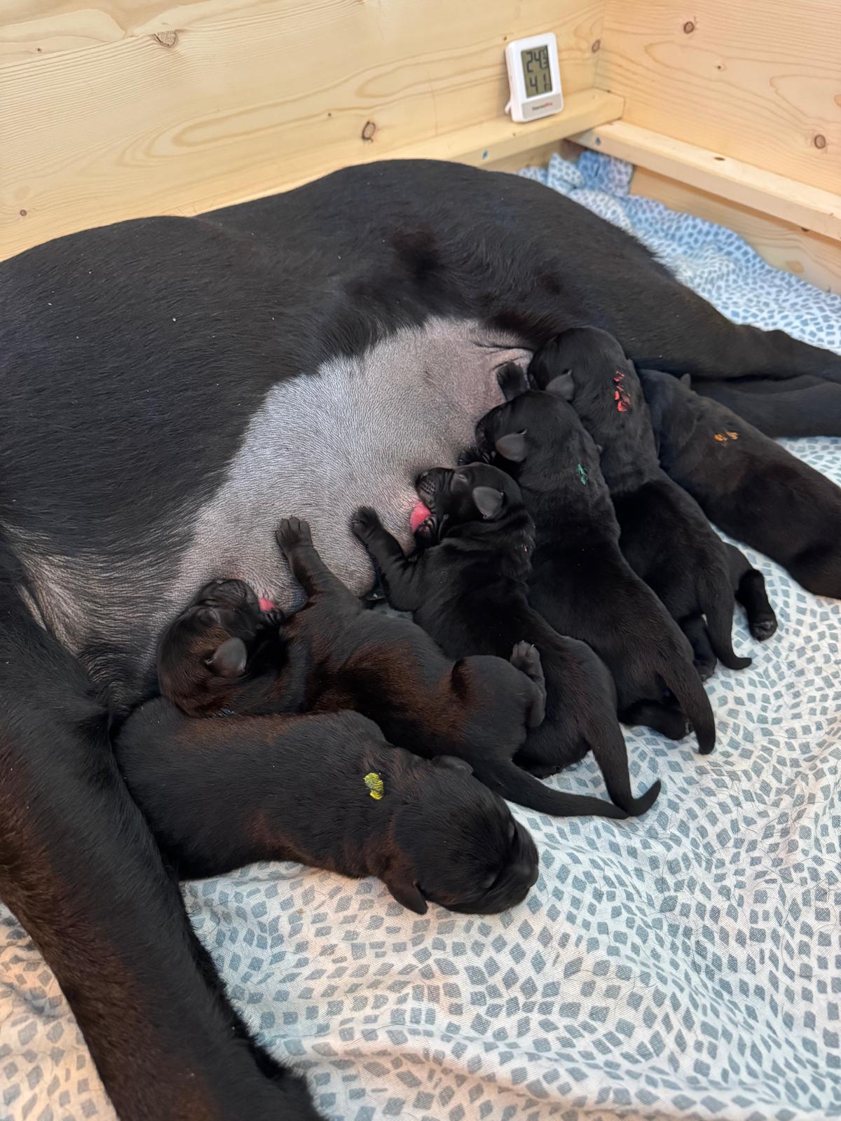 9d16eb80-7ae8-44ce-90e8-5815aca3170f