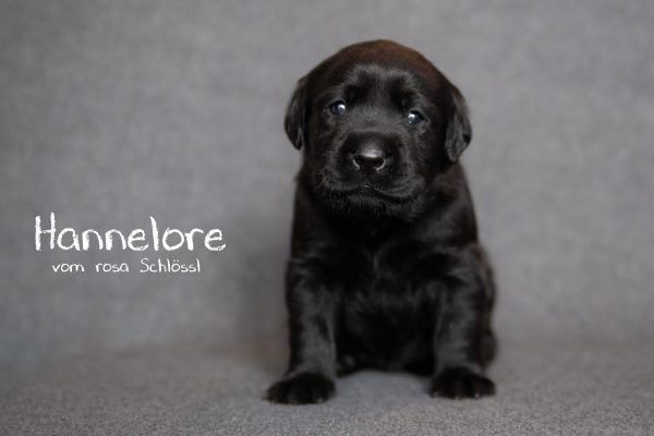 Hannelore (18 von 28)-Bearbeitet