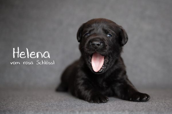 Helena (11 von 25)-Bearbeitet