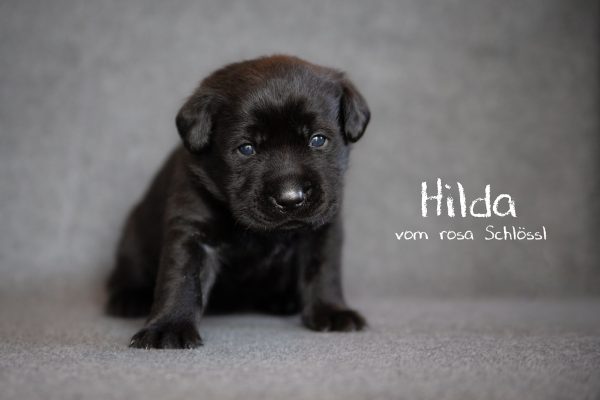 Hilda (12 von 39)-Bearbeitet