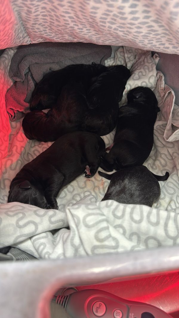 d5c6834b-1c0c-476f-8122-19f03562fbc1